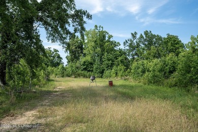 Whitetail Deer and Turnkey hunting, fishing, and timber - photo 27