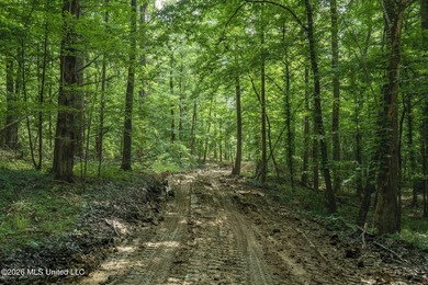 Whitetail Deer and Turnkey hunting, fishing, and timber - photo 31