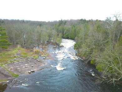 This amazing 1-of-a kind, 39+ acre property located 1hr-10min NE - photo 37