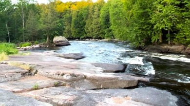 This amazing 1-of-a kind, 39+ acre property located 1hr-10min NE - photo 41