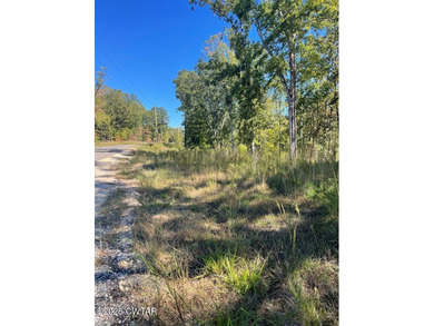 Carroll County 1000 Acre Lake Lot For Sale in Huntingdon Tennessee
