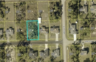 Lehigh Acres Area Lot For Sale in Lehigh Acres Florida