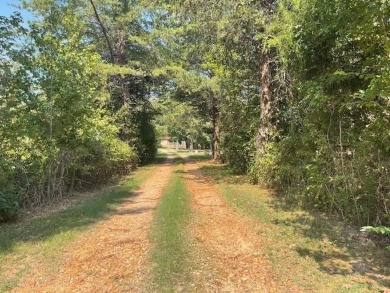 Lake Home For Sale in Stanton, Tennessee