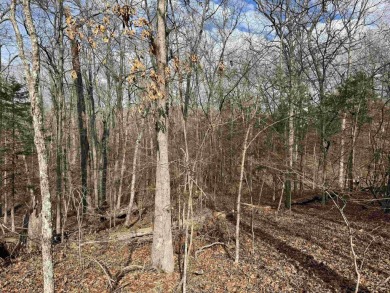 Lake Lot For Sale in Bull Shoals, Arkansas