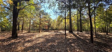 (private lake, pond, creek) Lot For Sale in Cowarts Alabama