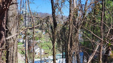 Great views in all directions. Scenic 0.5-Acre Vacant Lot in the - photo 11