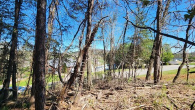 Great views in all directions. Scenic 0.5-Acre Vacant Lot in the - photo 12