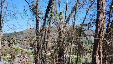 Great views in all directions. Scenic 0.5-Acre Vacant Lot in the - photo 13