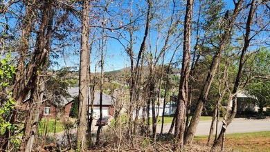 Great views in all directions. Scenic 0.5-Acre Vacant Lot in the - photo 14