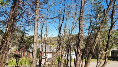 Great views in all directions. Scenic 0.5-Acre Vacant Lot in the - photo 15