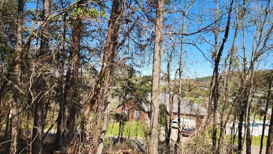 Great views in all directions. Scenic 0.5-Acre Vacant Lot in the - photo 17