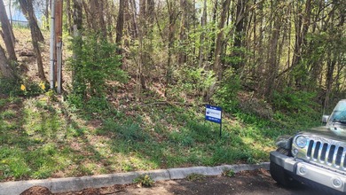 Great views in all directions. Scenic 0.5-Acre Vacant Lot in the - photo 23