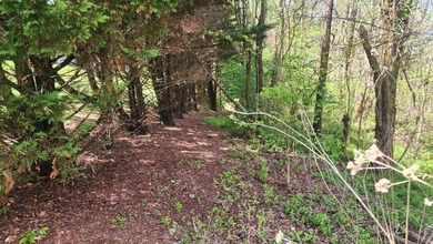 Great views in all directions. Scenic 0.5-Acre Vacant Lot in the - photo 29
