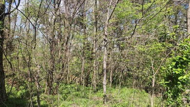 Great views in all directions. Scenic 0.5-Acre Vacant Lot in the - photo 30