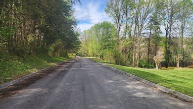 Great views in all directions. Scenic 0.5-Acre Vacant Lot in the - photo 33