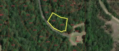 Lake Lot For Sale in Brookeland, Texas