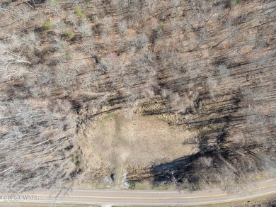 Beautiful acreage near Lake Halford with approximately 500 ft of - photo 4