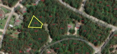 Lake Lot For Sale in Brookeland, Texas