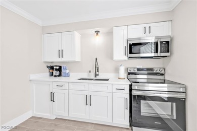 Stunning Income-Producing 4-Plex on Fort Myers Beach Discover an - photo 11