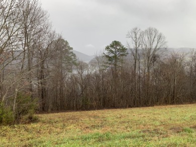 Lake Lot For Sale in New Tazewell, Tennessee