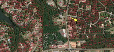 Lake Lot For Sale in Brookeland, Texas