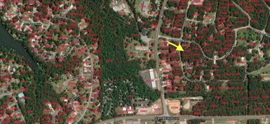 Lake Sam Rayburn  Lot For Sale in Brookeland Texas