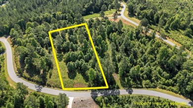 Lake Lot For Sale in Connelly Springs, North Carolina