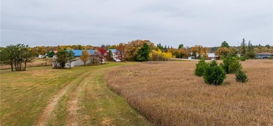 Lake Belle Taine Acreage For Sale in Nevis Minnesota