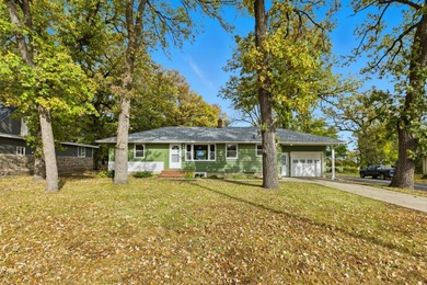Lake Home For Sale in Gaylord, Minnesota