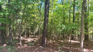 Lake Lot For Sale in Broaddus, Texas