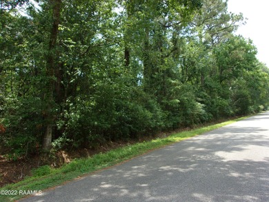 (private lake, pond, coastal) Acreage For Sale in Abbeville Louisiana