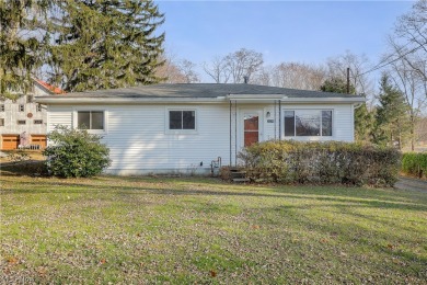 Long Lake Home For Sale in Akron Ohio