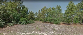 Rush Lake Lot For Sale in Citrus Springs Florida