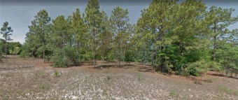 Rush Lake Lot For Sale in Citrus Springs Florida