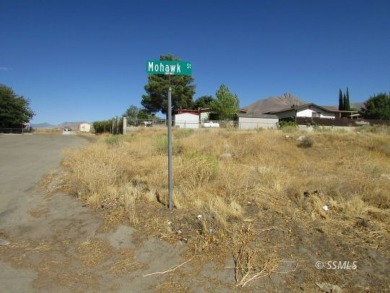 Lake Lot For Sale in Weldon, California