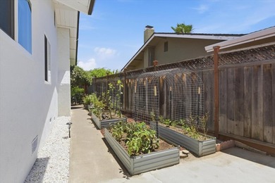 Foothill Views, Hiking Trail Access & Major Renovations in - photo 36