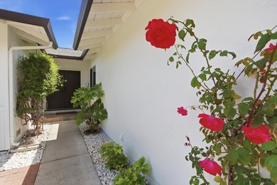 Foothill Views, Hiking Trail Access & Major Renovations in - photo 41
