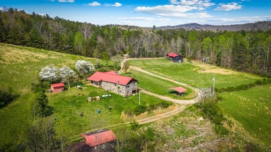 Just five miles from downtown Blue Ridge, this extraordinary 100 - photo 48