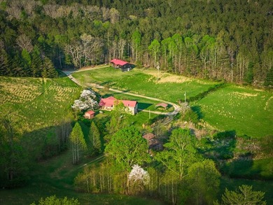 Just five miles from downtown Blue Ridge, this extraordinary 100 - photo 49