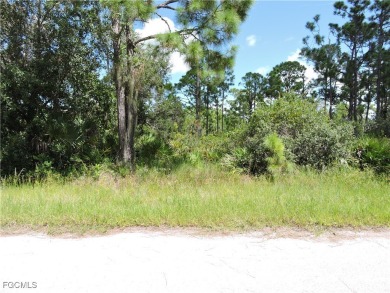 Very nice lot located just a few miles from the Gulf Beaches - photo 2