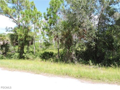 Very nice lot located just a few miles from the Gulf Beaches - photo 3