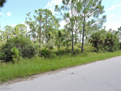 Very nice lot located just a few miles from the Gulf Beaches - photo 4