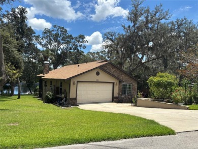 Lake Home Sale Pending in Ocklawaha, Florida