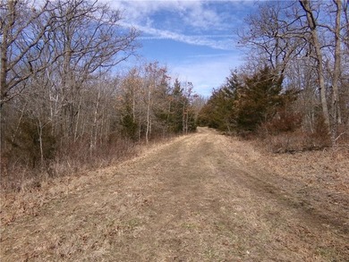 Discover 32 acres of pure, untouched land an ideal retreat for - photo 11