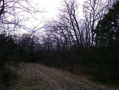 Discover 32 acres of pure, untouched land an ideal retreat for - photo 12