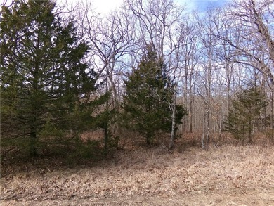 Discover 32 acres of pure, untouched land an ideal retreat for - photo 13