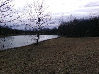 Discover 32 acres of pure, untouched land an ideal retreat for - photo 15