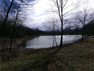 Discover 32 acres of pure, untouched land an ideal retreat for - photo 16