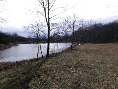 Discover 32 acres of pure, untouched land an ideal retreat for - photo 17