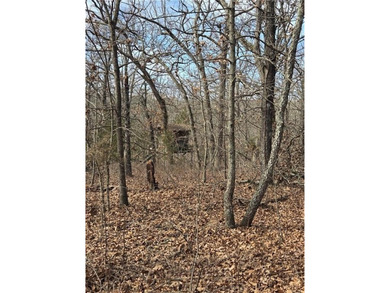 Discover 32 acres of pure, untouched land an ideal retreat for - photo 18